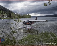 TSR Watermark - 0325